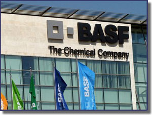 топпинги мастер топ от BASF